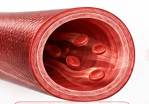Cross-section of a healthy, open artery with blood cells flowing freely
